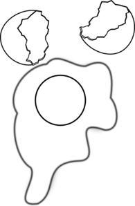 Yolk PNG Black And White - 41137
