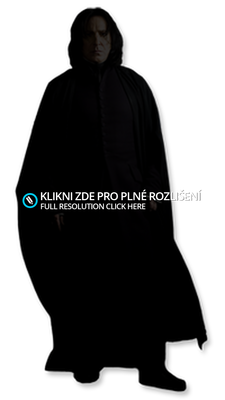 Zdroje: http://pictures-album