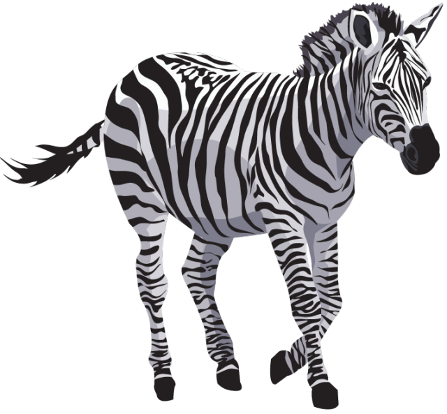 Zebra vector png - photo#6