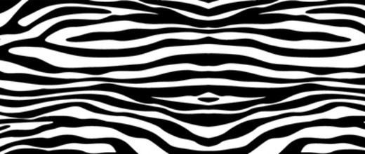 Zebra Print PNG - 40632