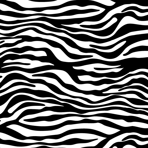 Zebra Print PNG - 40638