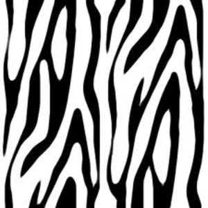Zebra Print PNG - 40628