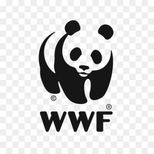 Wwf Logo Transparent Png - pluspng